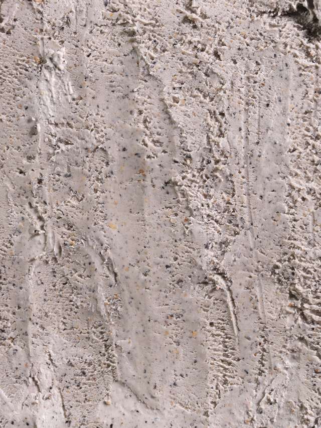 Black Sesame — texture